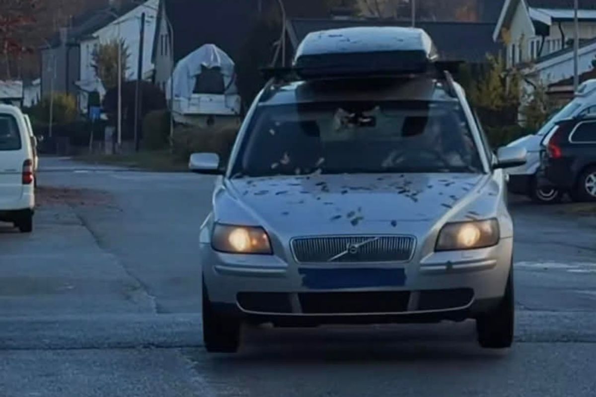 Deleting Your Suspension is a Hilariously Dumb Thing to Do